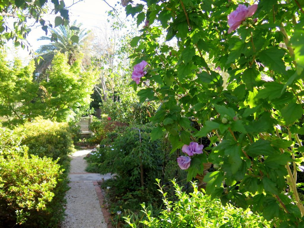 Villa Shelton-Lea à Katoomba Extérieur photo